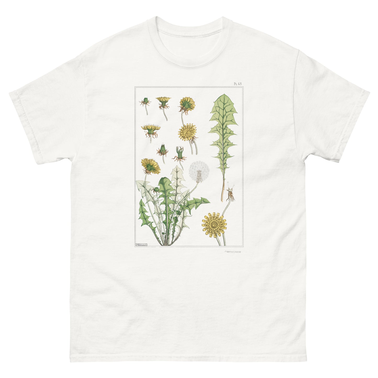 dandelions Botanical Illustration Tee