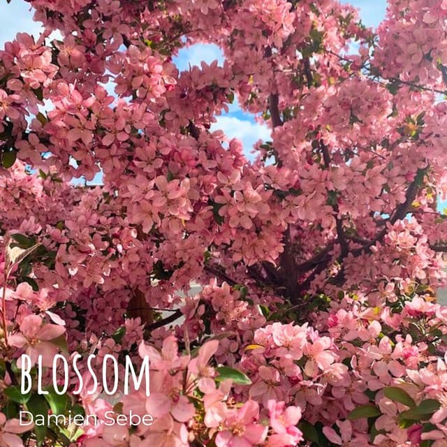 blossom